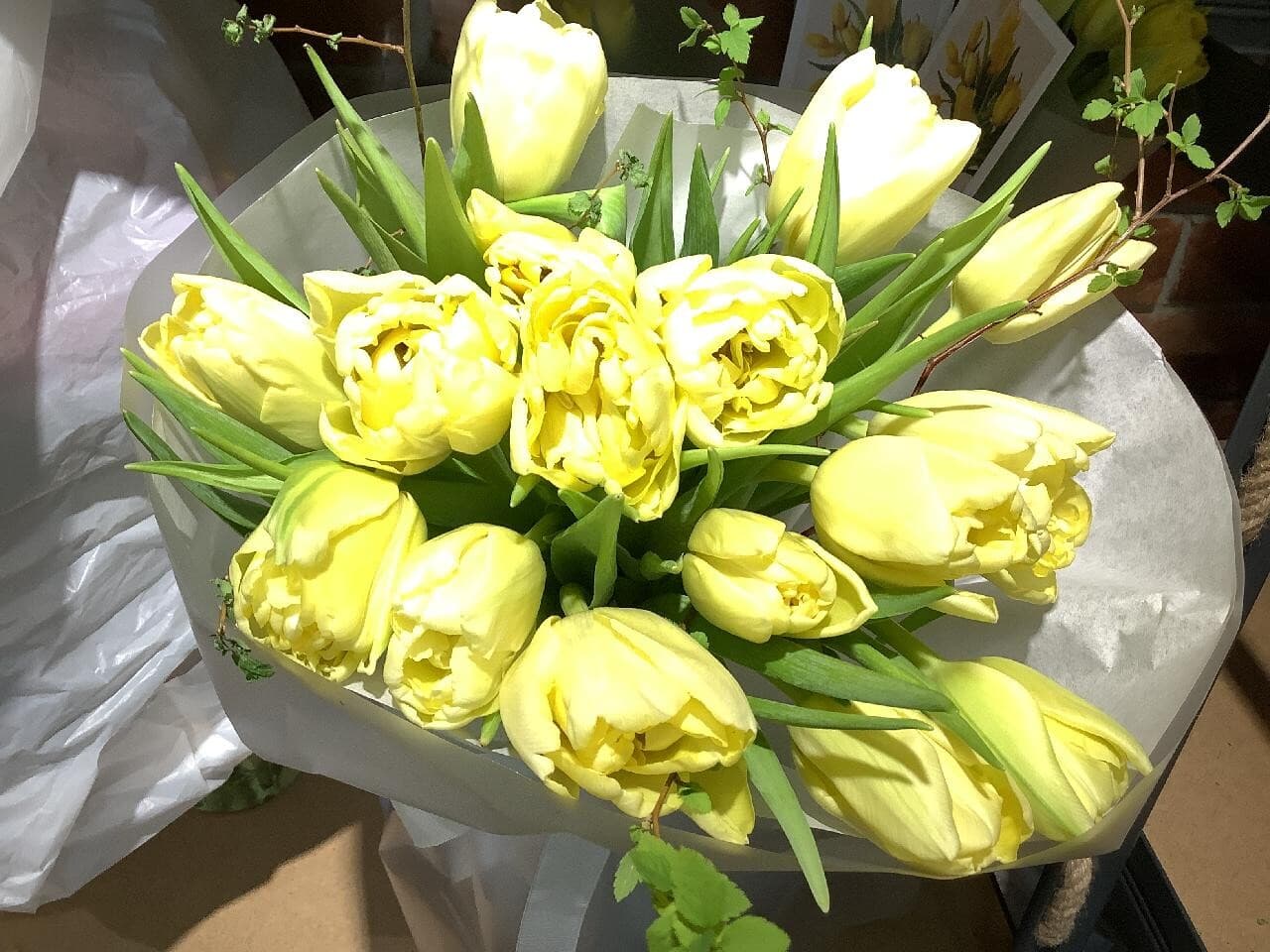 Желтые тюльпаны и зелень