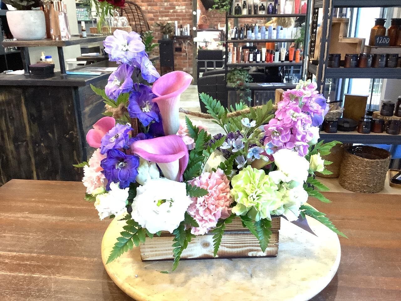 Ящик Дельфин