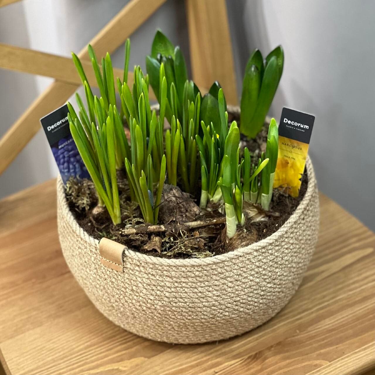 Композиция Садик